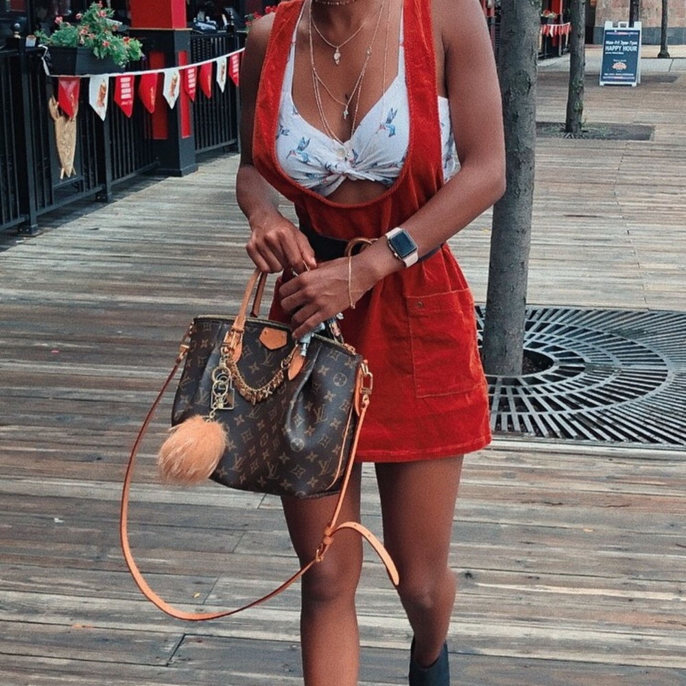 authentic louis vuitton purse